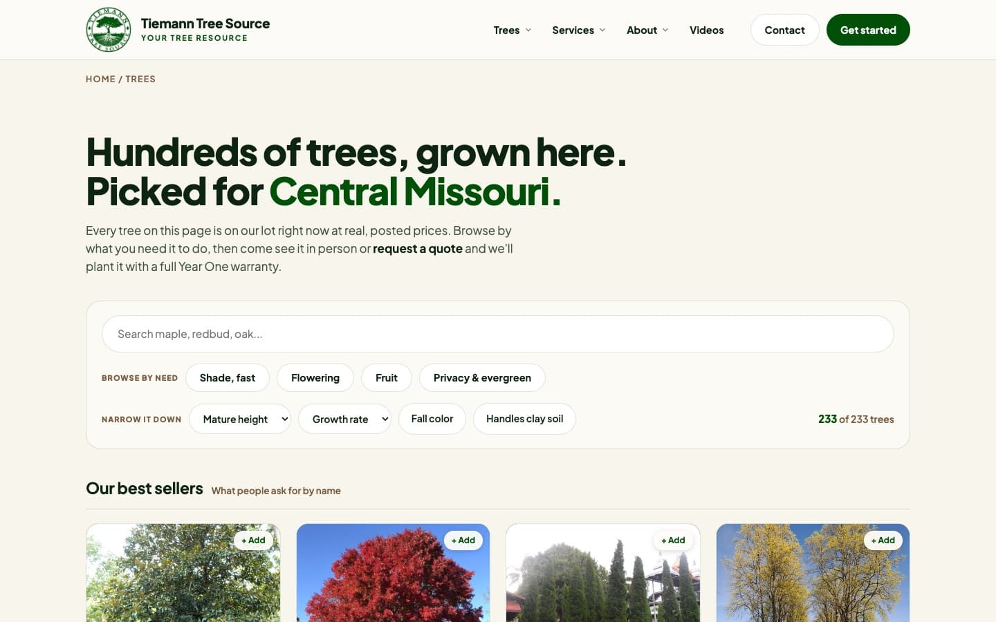 Tiemann Tree Source searchable tree catalog
